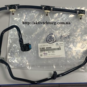 3144548700 Датчик паливної рампи D4GA Є5